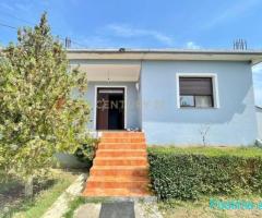 SHITET SHTEPI + TRUALL 1500m2 !