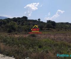 ???????? SHITET TOKË – ULLISHTE NË TRAGJAS, VLORË.