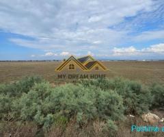 SHITET TOKE NE PORTO-ROMANO ,DURRES!