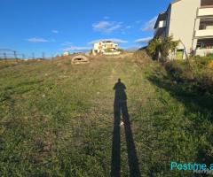 SHITET TOKE NE PLEPA