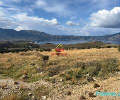 ???????? SHITET TOKË – PEMËTORE NË RADHIMË, VLORË.