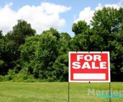 Shitet toke prane Top Channel, Mezeze/ 100'000 euro