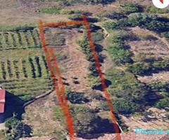 Shitet toke ne Dajt + Shtepi te Vjeter