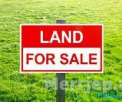 ???? Shitet Tokë në Maminas, Vorë – Lokacion Strategjik! ????️