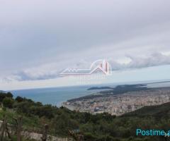 SHITET TOKE/TRUALL NE KANINE!