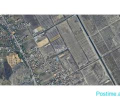 SHITET TOKE NE SPITALL