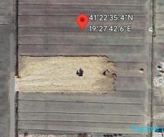 Shitet toke, Sektor Rinia.