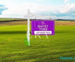 Shitet toke, Sektor Rinia.