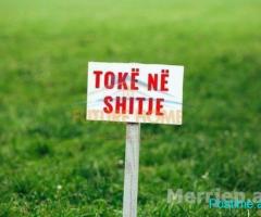 Shitet, Tokë , Prush, Tiranë