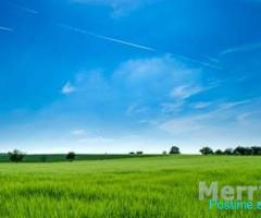 Shitet Toke ne Maminas , Vore