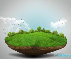 Shitet Toke ne Maminas , Vore