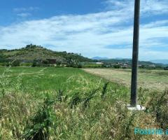 Shitet Toke ne Vaqarr