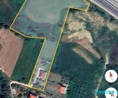 Shitet 9000m2 Toke ne Berzhite me dokumentacion