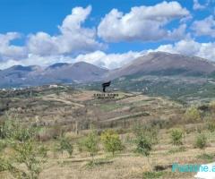 SHITET TRUALL,TEG,108.000 EURO.