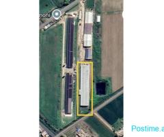 SHITET KAPANON 1340 M2+TRUALL NE XHAFZOTAJ !