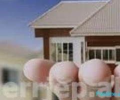 apartament me qera 1+1 e mobiluar