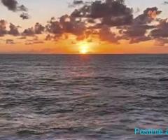 DYQAN NE SARANDE BUZE-RRUGE KRYESORE ME CERTIFICATE PRONESIE