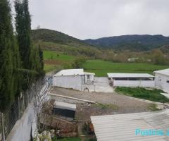 Fermë në shitje, Baldushk