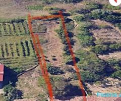 Shitet toke ne Dajt + Shtepi te Vjeter