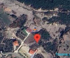 SHITET TOKE 2000M2 "FARKE E VOGEL" 350.000 EURO (I DISKUTUES