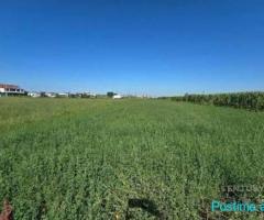 ???? Shitet Tokë në Maminas, Vorë – Lokacion Perfekt!