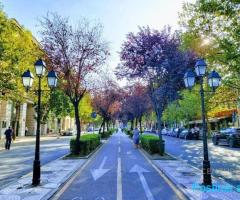 SHESIM TRUALL TEK 21-DHJETORI, TIRANË