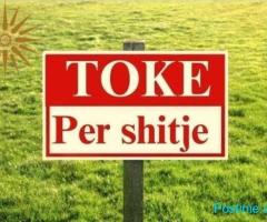 Shitet Tokë me sipërfaqe 700 m2 në Farke.