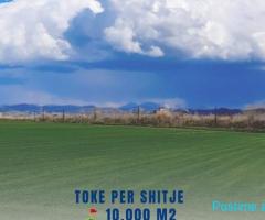 TOKE PER SHITJE NE SEKTOR RINIA