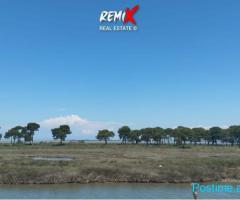 TOKE PER SHITJE BUZE RRUGE TE SEKTOR RINIA