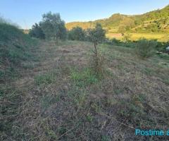 TOKE + NDERTESE PER SHITJE NË PLEPA SHKALLNUR DURRES