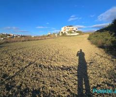 SHITET TOKE NE PLEPA, 200m larg Unazes PLazh