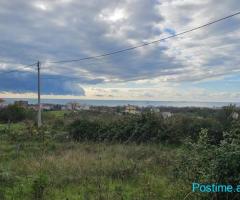 TOKE PER SHITJE ME PAMJE DETI NE ARAPAJ DURRES