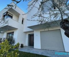 SHITET VILE PRANE KODRES SE DIELLIT