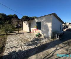 ???????? SHITET NDËRTESË + TRUALL NË PYLLIN E SODËS, VLORË